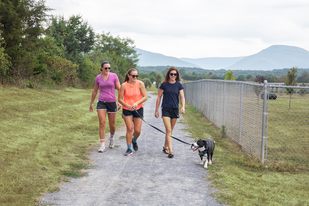 Grand-Caverns-Painters-Park-Dog-Park-with-fence1D3A6075